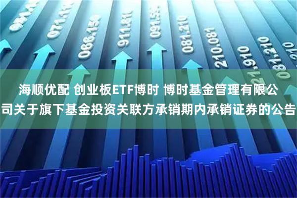 海顺优配 创业板ETF博时 博时基金管理有限公司关于旗下基金投资关联方承销期内承销证券的公告