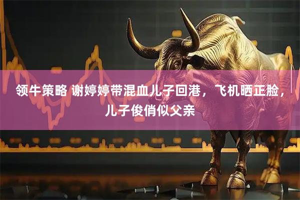领牛策略 谢婷婷带混血儿子回港，飞机晒正脸，儿子俊俏似父亲