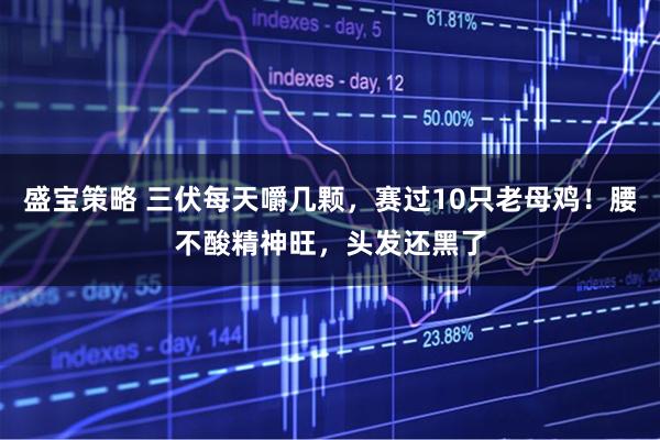 盛宝策略 三伏每天嚼几颗，赛过10只老母鸡！腰不酸精神旺，头发还黑了