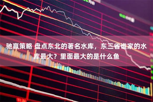 驰赢策略 盘点东北的著名水库,东三省谁家的水库最大?里面最大的是什么鱼